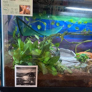 moony heeft een foto van de aankoop toegevoegd