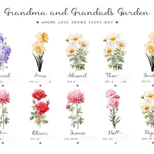 Amy ha añadido una foto de su compra