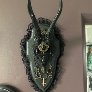 kyra added a photo of their purchase