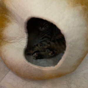 Sylvie added a photo of their purchase