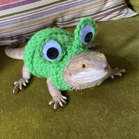 Crocheted Adult Frog Bearded Dragon Costume Bearded Dragon Costume ...