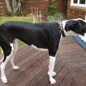 Brian added a photo of their purchase