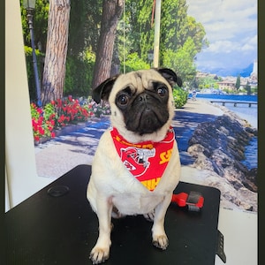 Luz added a photo of their purchase