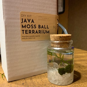 Emily added a photo of their purchase