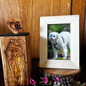 Jenny added a photo of their purchase