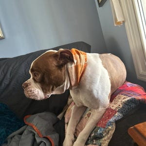 Finn added a photo of their purchase