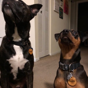 Beth added a photo of their purchase