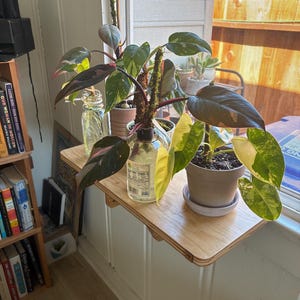 Chris added a photo of their purchase