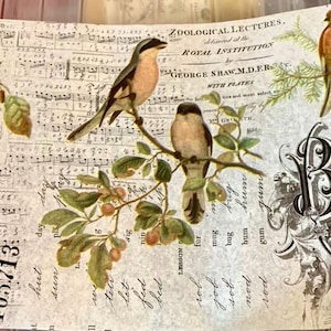 Gail added a photo of their purchase