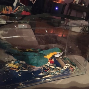 Linda ha añadido una foto de su compra