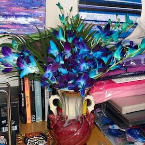 Katie adicionaram uma foto da sua compra