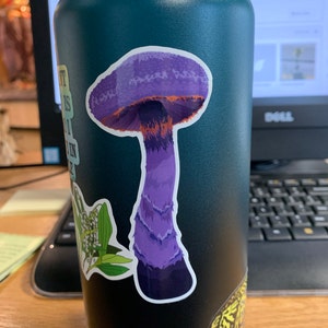 Become Moss Vinyl Decal - Etsy