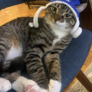 Cat ha añadido una foto de su compra