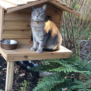Therese added a photo of their purchase