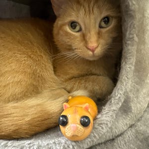 Ninnjette added a photo of their purchase