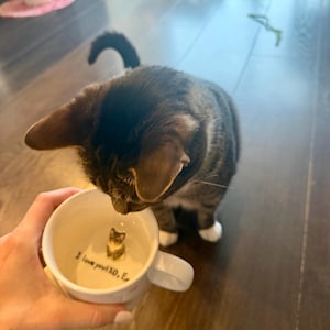 Sully added a photo of their purchase