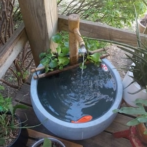 Denis added a photo of their purchase