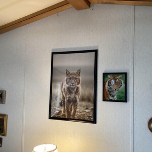 James added a photo of their purchase