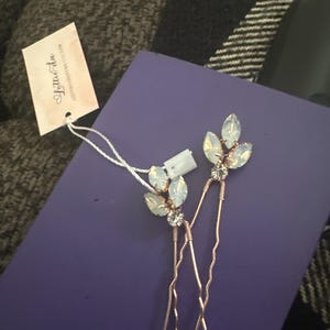 Jessica added a photo of their purchase