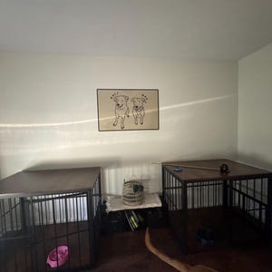 Sydney added a photo of their purchase