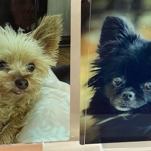 Lisa added a photo of their purchase