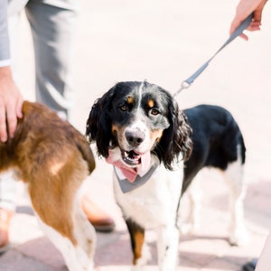 Morgan added a photo of their purchase