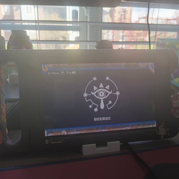 Nintendo Switch Purah Pad Case 3d Print Tears of the Kingdom Cosplay ...