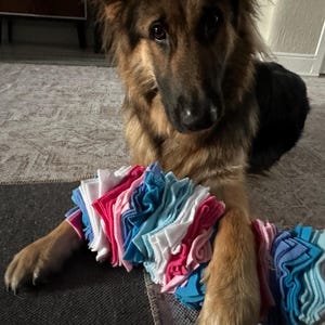 Fule added a photo of their purchase