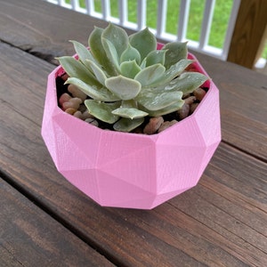 Lindsey added a photo of their purchase