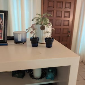 Mo added a photo of their purchase
