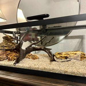 Lissa added a photo of their purchase