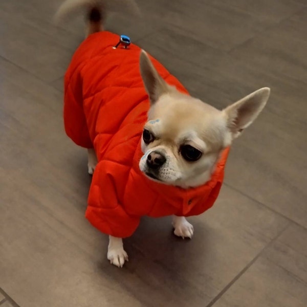 Cozy Mohair-Inspired Dog Pattern Knit Sweater