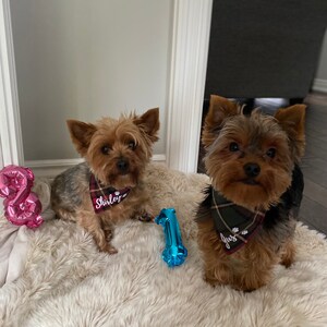 Judi added a photo of their purchase