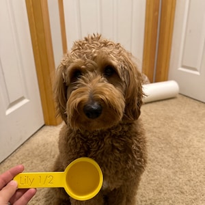 Sarah added a photo of their purchase