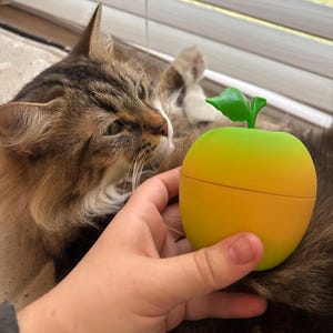 Benny added a photo of their purchase