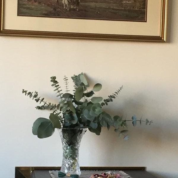 Shower Eucalyptus Bundle - Fresh Cut Eucalyptus - Etsy UK