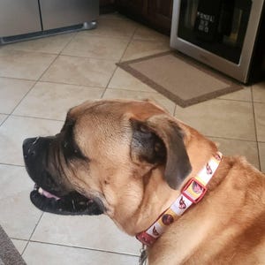 Dallas added a photo of their purchase