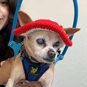 Janet added a photo of their purchase