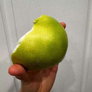 Esraa heeft een foto van de aankoop toegevoegd