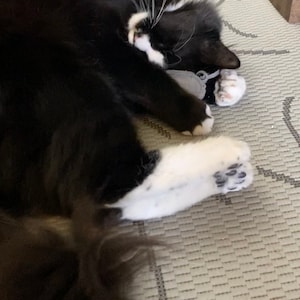 Jessica ha añadido una foto de su compra