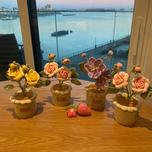 James added a photo of their purchase