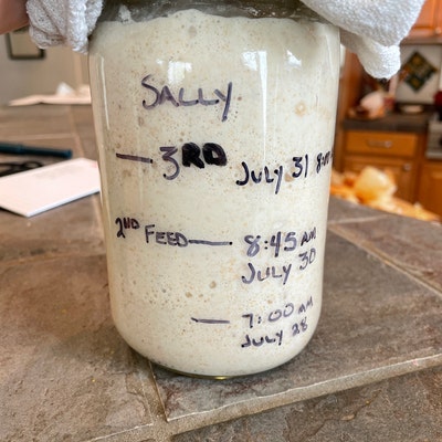 San Francisco SOURDOUGH STARTER 100yr Old Yeast, Very Strong, Very Sour ...