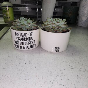 Shekinah added a photo of their purchase