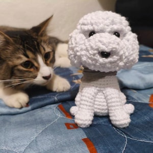 Dulce added a photo of their purchase