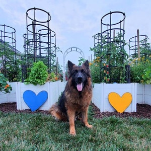 Wendy ha añadido una foto de su compra