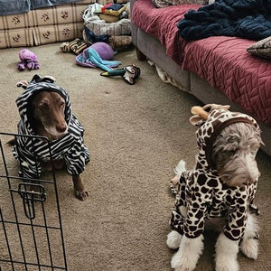 Paula added a photo of their purchase