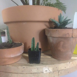 Eduardo added a photo of their purchase