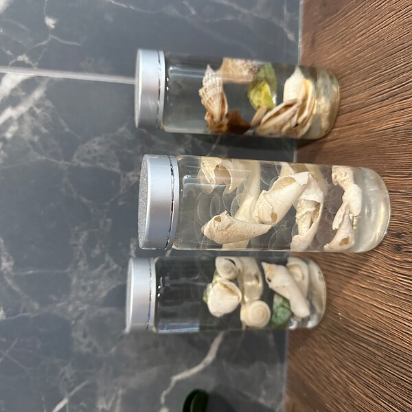 Shells Starfishes Beach Seashells Home Vase Decor 90333