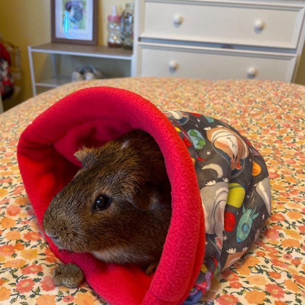 View of Custom Fleece Guinea Pig Cage Liner C&C 1x2 2x2 2x3 2x4 2x5 Liner ...