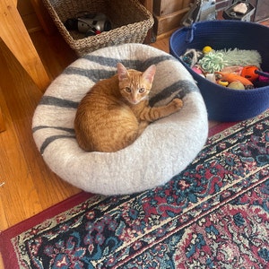 K added a photo of their purchase